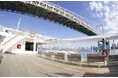 【東京ベイレストランクルーズ】~SYMPHONY Early Christmas Cruise2024~ ご予約開始しました!