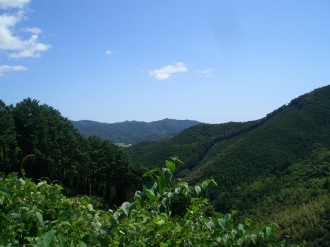 豊かな自然環境を守る