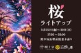 春の宵に癒しを灯す 熊本城「桜ライトアップ」