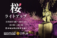 桜十字グループ特別協賛 「熊本城・桜ライトアップ」春の夜空を満たすウェルビーイングな10日間