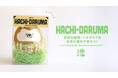 【インバウンド大人気】渋谷の象徴「ハチ公」とカイシャダルマのコラボ!渋谷スカイ限定『HACHI-DARUMA』発売中