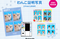HOT DOG TOWN Ariakeに「わんこ証明写真」が撮影できるセルフフォトブースPhotomaticが登場