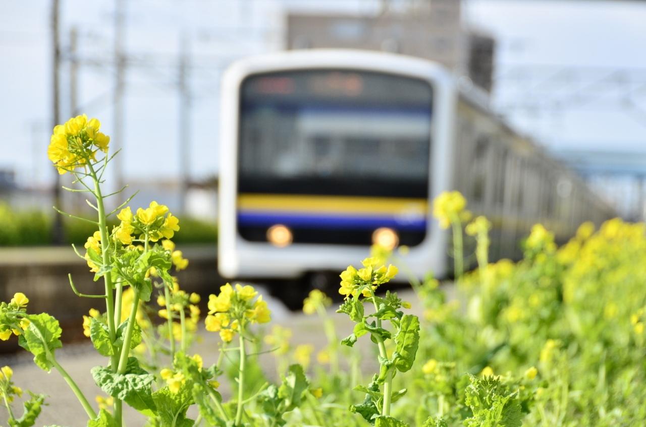 春はのんびり列車旅！ 絶景車窓に癒されるローカル線 10選｜フォートラベル株式会社のプレスリリース