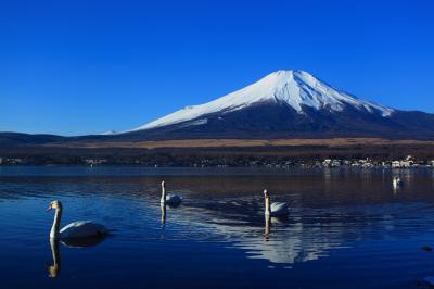 6月に世界遺産が決定 13年申請の 富士山 鎌倉 はどうなる 富士山 54 8 鎌倉 50 6 が 世界遺産に登録される と予測 フォートラベル株式会社のプレスリリース