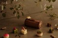 【ジャヌ東京】森林保全団体more treesとともに「森」とのつながりを感じるフェスティブシーズン