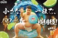 「小さな一粒で、パワーは横綱級!」ジェルマジックボール洗剤「カーポッド」CM、7月12日よりTVer配信開始