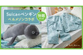 「Suicaのペンギン」×「ベルメゾン」のコラボレーションシリーズに抱き枕など「春の快眠」3アイテムが新登場 本日3月5日よりベルメゾンJRE MALL店で販売開始