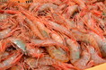 【ふるさと納税返礼品:北海道の「魚貝」編】今年人気の品・隠れた逸品が大集合!「大北海道展2024」