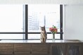 「ネコハナ」が東海・関西エリアに配送地域を拡大！8月限定割引クーポンも配布中