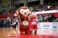熊本ヴォルターズ開幕戦 B1昇格へラストチャンス!セルモから今年も熱い声援を送ります!
