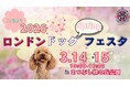 愛犬と楽しみながらマナー意識を育む2日間　「ロンドンドッグフェスタ」を3月14日・15日にまつぶし緑の丘公園で開催（入場無料)