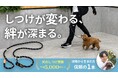 犬の散歩マナー向上と飼い主教育を支える、犬のしつけ専門店が作った"現場発"のトレーニングリードをMakuakeで先行展開