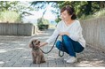 【驚異の目標達成率/約2,498％】犬のしつけ専門店が開発した「トレーニングリード」、Makuakeで応援購入総額249万円達成・364人を達成