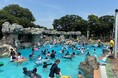 【千葉/袖ケ浦】「コカ・コーラボトラーズジャパンPark百目木」　百目木公園プールをオープンします