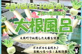【福島県大熊町】巨大な大根と一緒にお風呂に入れる!? 2月の季節風呂 大根風呂開催!【2月9日(日)、10日(月)】