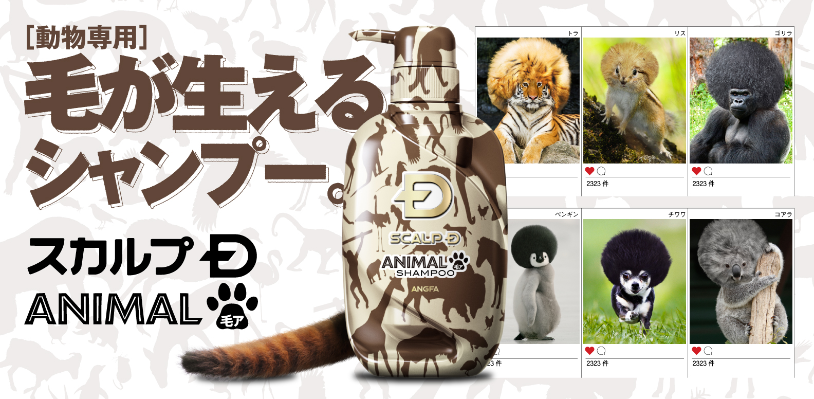 毛がフサフサに生える動物専用シャンプー「スカルプD アニマル毛ア