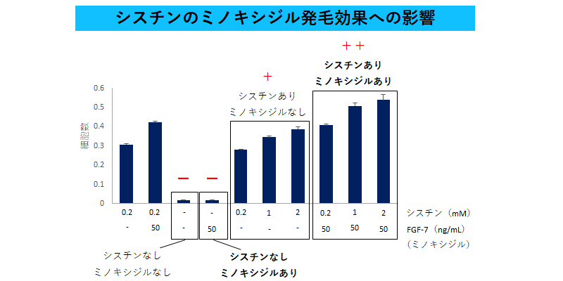 髪に悩む ミノキシジル ユーザーへ朗報 牛肉に多く含まれる シスチン が発毛効果を促進 アンファー株式会社のプレスリリース