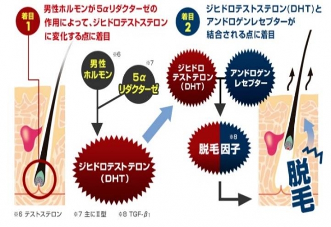 スカルプジェット進化して新登場 スカルプd独自の新噴射機構 毛穴に急速浸透で発毛促進 11 25 水 新発売 アンファー株式会社のプレスリリース