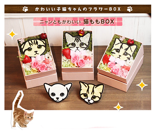 猫をこよなく愛するママへ ことしの母の日はいつもと違う ニャンともかわいい 子猫のフラワーboxでママを癒し てみませんか 株式会社岡田商会のプレスリリース