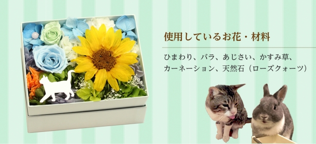 プリザーブドフラワーで描く ネコ のいる 夏の情景 動物のお花屋さんマイペリドットがつくる 一枚の絵日記のようなフラワーアレンジメント 株式会社岡田商会のプレスリリース