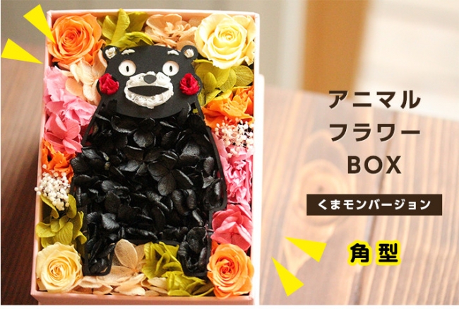 あの くまモン がフラワーboxになったモン 動物のお花屋さんマイペリドットから 枯れないお花で作るかわいいくまモン のフラワーboxが新登場 株式会社岡田商会のプレスリリース