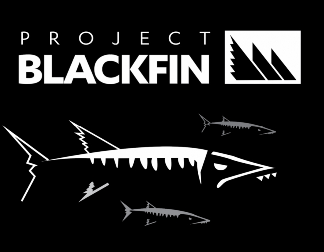 Project Blackfin