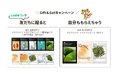 【LINEギフト限定】友達に贈ると自分ももらえる!「Gift&Getキャンペーン」開催!