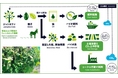 栗林商船、非可食作物ジャトロファ由来のバイオ燃料サプライチェーンに関する事業化調査に共同参画