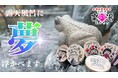 子どもたち約1,500人の夢が露天風呂いっぱいに浮かぶ「夢の日」に集まった夢を七夕に届ける『夢風呂』を開催！！