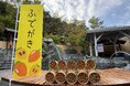 ~持続可能な銭湯「サステナブロ」プロジェクト~ 食料ロスの運命だった筆柿をかき集めました!