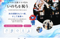 2026年 8月8日・9日 アフター 万博 クラゲ祭り「いのちを祝う」プログラム詳細発表!!!