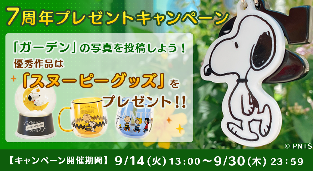 配信7周年 パズルアプリ スヌーピードロップス が 感謝の豪華キャンペーンを開催 株式会社カプコンのプレスリリース