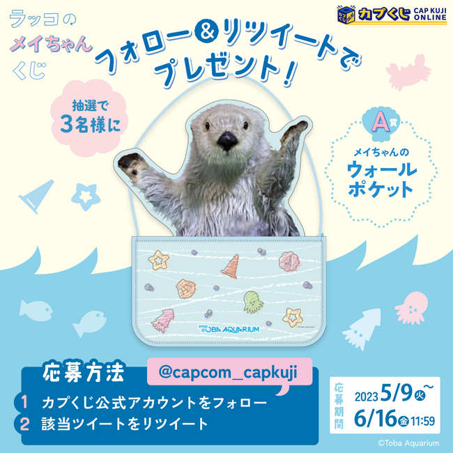 鳥羽水族館 ウォールポケット　カプくじ Amazon.co.jp: 鳥羽水族館 カプくじ メイちゃんウォールポケット