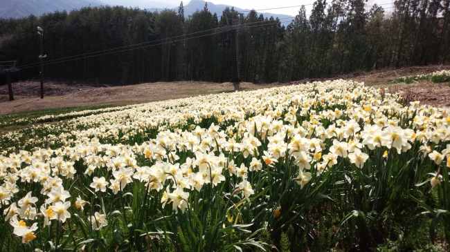 ４月２８日