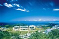 第4回「徳洲会国際心臓血管セミナーin葉山」9月19日から開催