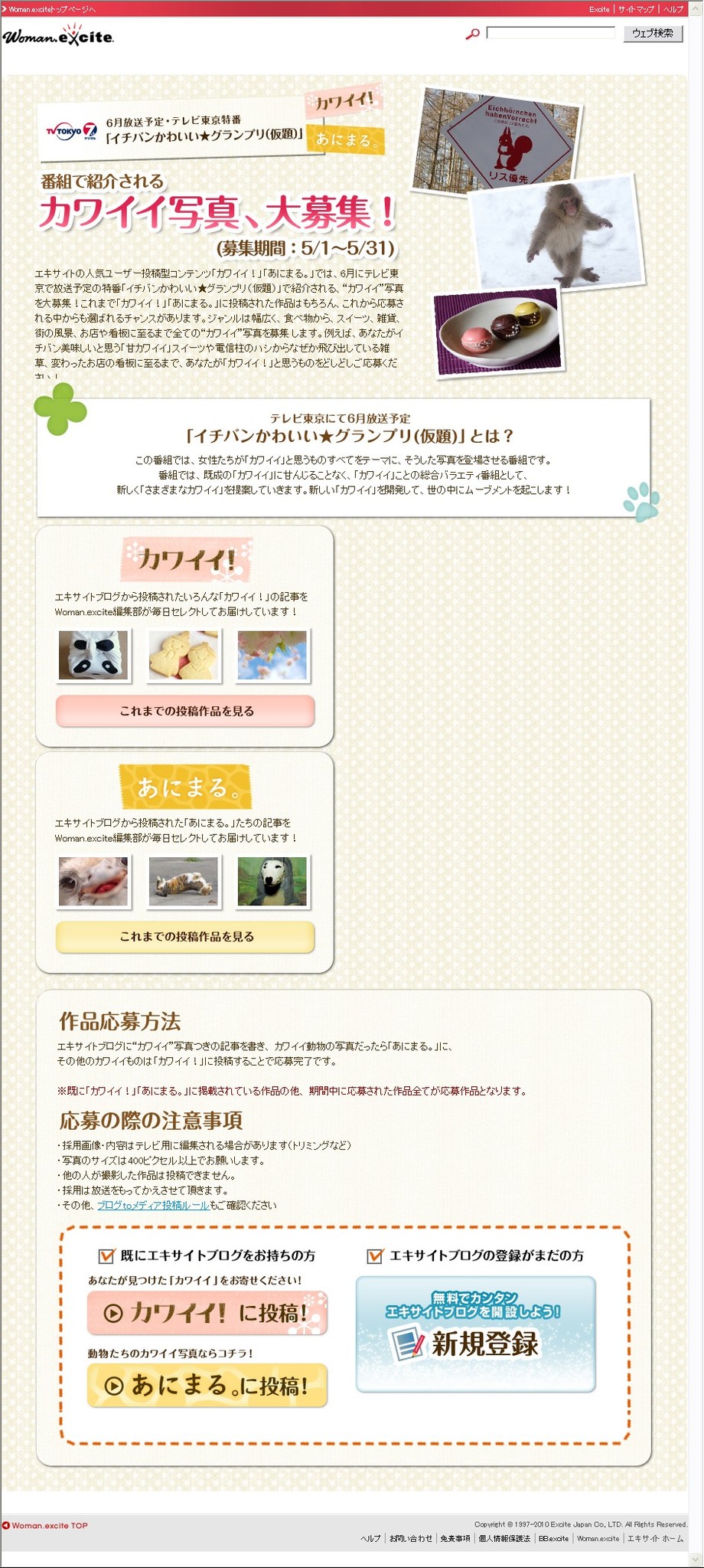 エキサイト カワイイ あにまる の作品をテレビ番組に提供 エキサイト株式会社のプレスリリース