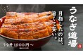 【コスパ抜群】本格炭火うなぎでも、旨さと安さにこだわった”うなぎ道場”が3/1(土)NEW OPEN!