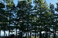 コギコギ株式会社、瀬戸内国際芸術祭 2025に初参加の香川県さぬき市で、一般社団法人さぬき市津田地区まちづくり協議会、高松琴平電気鉄道と共同でシェアサイクル事業を開始