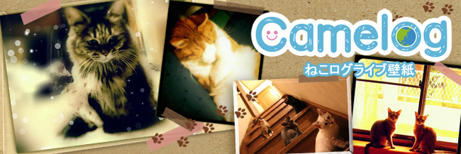 Iphone Android Arカメラアプリケーション Camelog から 投稿された猫をテーマにした無料ライブ壁紙 配信開始 エイチームのプレスリリース