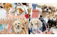【イベントレポート】満足度＆愛犬の食いつき100%！ヒューマングレードドッグフード「OBREMO」が初の試みとして「犬の幼稚園での食育」と動物保護団体へのフード無償提供を実施！