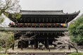 浄土宗の総本山「知恩院」の魅力を解説!「GO KYOTO」で特集記事を公開