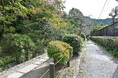 「哲学の道」の魅力を徹底紹介!「GO KYOTO」が紅葉シーズンの見どころを特集