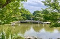 京都最古の公園「円山公園」の見どころを徹底紹介!「GO KYOTO」が新たな特集記事を公開