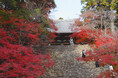 紅葉の絶景と歴史を楽しむ、神護寺の魅力をご紹介