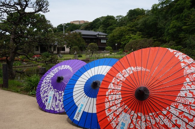貸し出し予定の和傘と文京区立肥後細川庭園内（2018年５月撮影）
