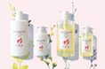 抜け毛・薄毛にお悩みの方へ「夏の商品割引キャンペーン」に女髪美ヘアブラシが登場