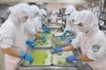 イタリアの人気シェフが学校給食に潜入！