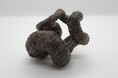 10月15日は「化石の日」！大阪市立自然史博物館でテーマ展示「化石を楽しむ2026」を開催します