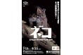 【期間限定早朝開館決定・グッズ情報】特別展「ネコ」～にゃんと！クールなハンターたち～
