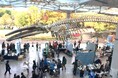 自然の文化祭「大阪自然史フェスティバル2024」を開催します~開催当日は、関西文化の日のため入場無料~